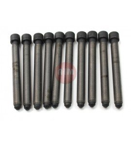 Śruby głowicy - A4 / A6 / PASSAT 1.8 // 94-