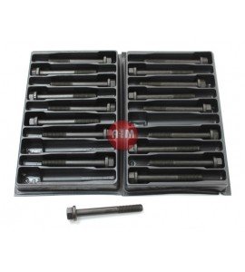 Śruby głowicy - FORD TRANSIT 2.5D 84-