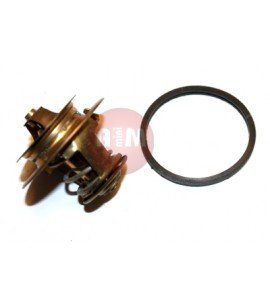 Termostat - FIAT DUKATO 2.5D/TD/2.8D 88-02