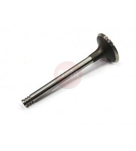 Zawór ssący -VW LT / VOLVO 2.0-2.4D 81- / 105x36x8 / 069109601C