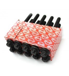 Śruby głowicy - LAGUNA II/III / MEGANE / MASTER - 2.0 / 2.2 dCi