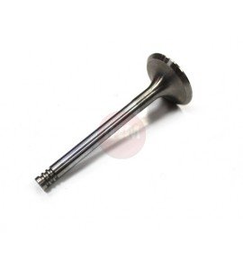 Zawór ssący - VW LT / T4 1.9/2.4D/TD / 069109601F