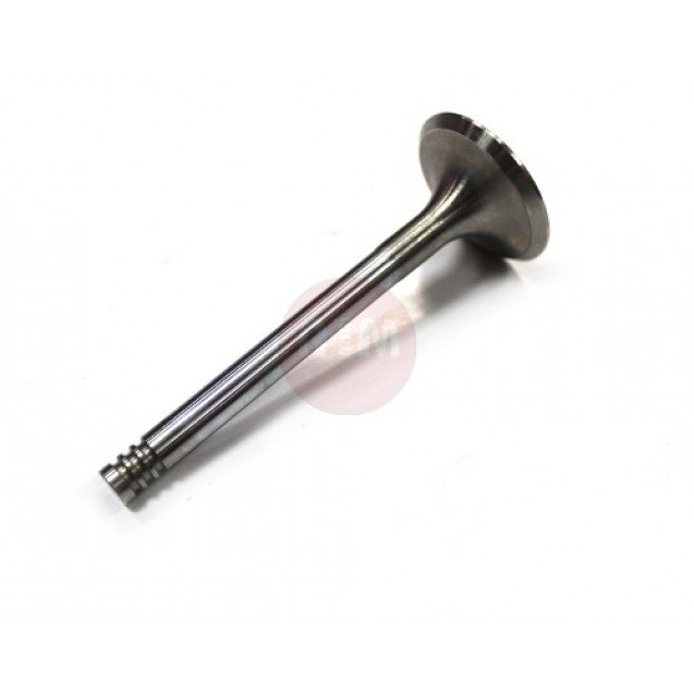 Zawór ssący - VW LT / T4 1.9/2.4D/TD / 069109601F
