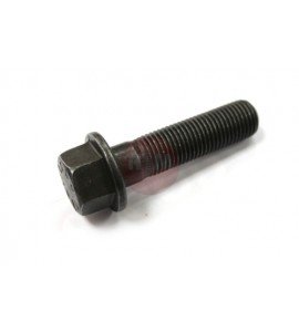 Śruba koła wału korbowego -FIAT UNO /TIPO /TEMPRA /PALIO 1.7-1.9