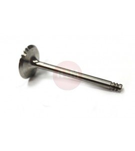 Zawór ssący - VW / SEAT / 1Y /1.9D 98- /95.5x36x7/ 028109601B