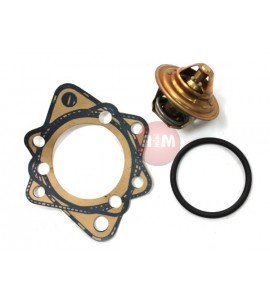 Termostat - FIESTA IV/V / FOCUS / FUSION / PUMA / 1.25/1.4/1.6