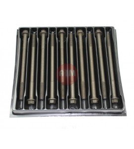 Śruby głowicy - DAEWOO LANOS / NUBIRA 1.5 / 1.6 16V DOHC