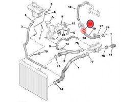 Oring przewodu chłodzenia - BOXER / DUCATO / JUMPER / SCUDO - 2.0 HDI / JTD 